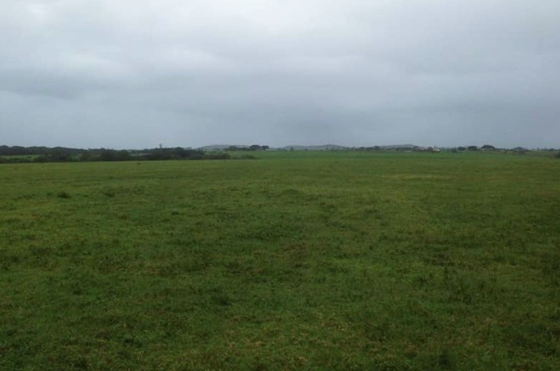 Commercial Property for Sale in Cove Rock Eastern Cape